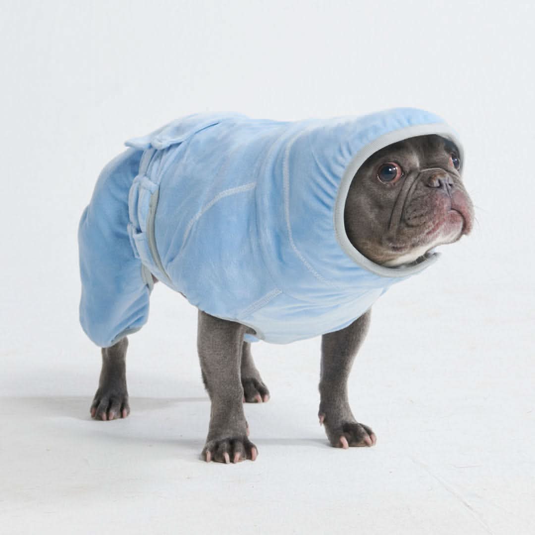 Accappatoio per cani asciutto in 10 minuti - Image 9