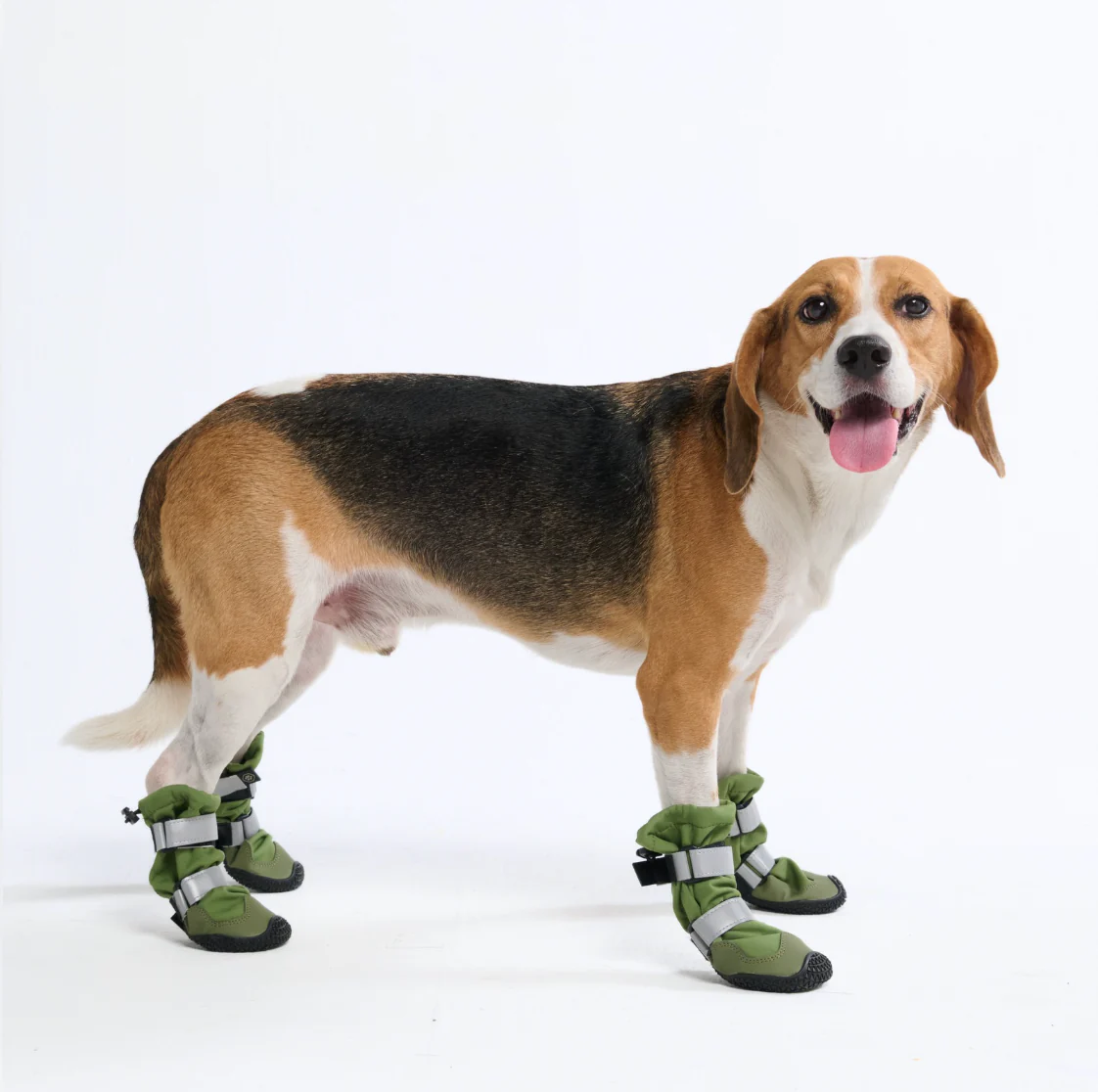 Stivali per cani resistenti all'acqua con struttura flessibile - Verde - Image 3