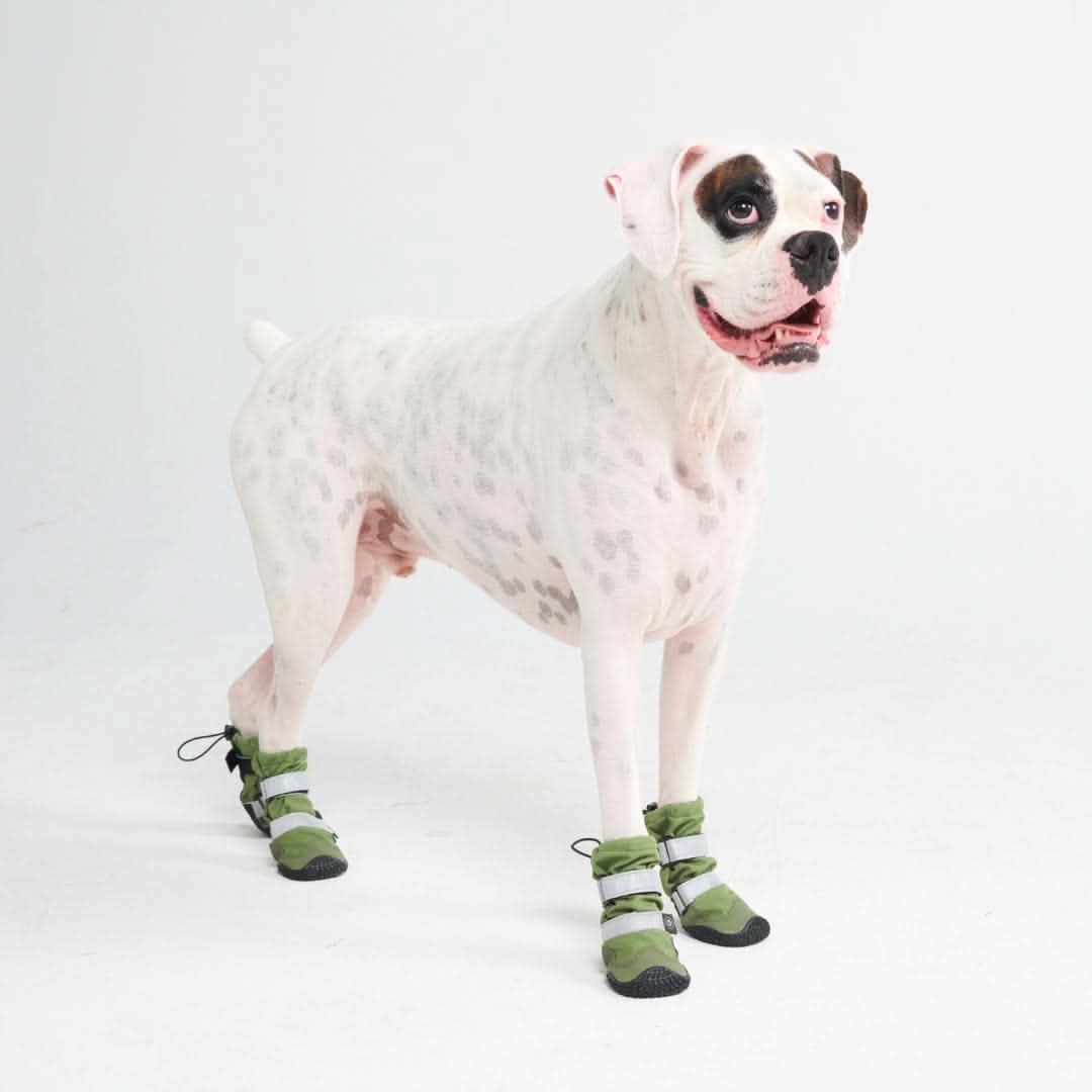Stivali per cani Flex Shell impermeabili - Image 14