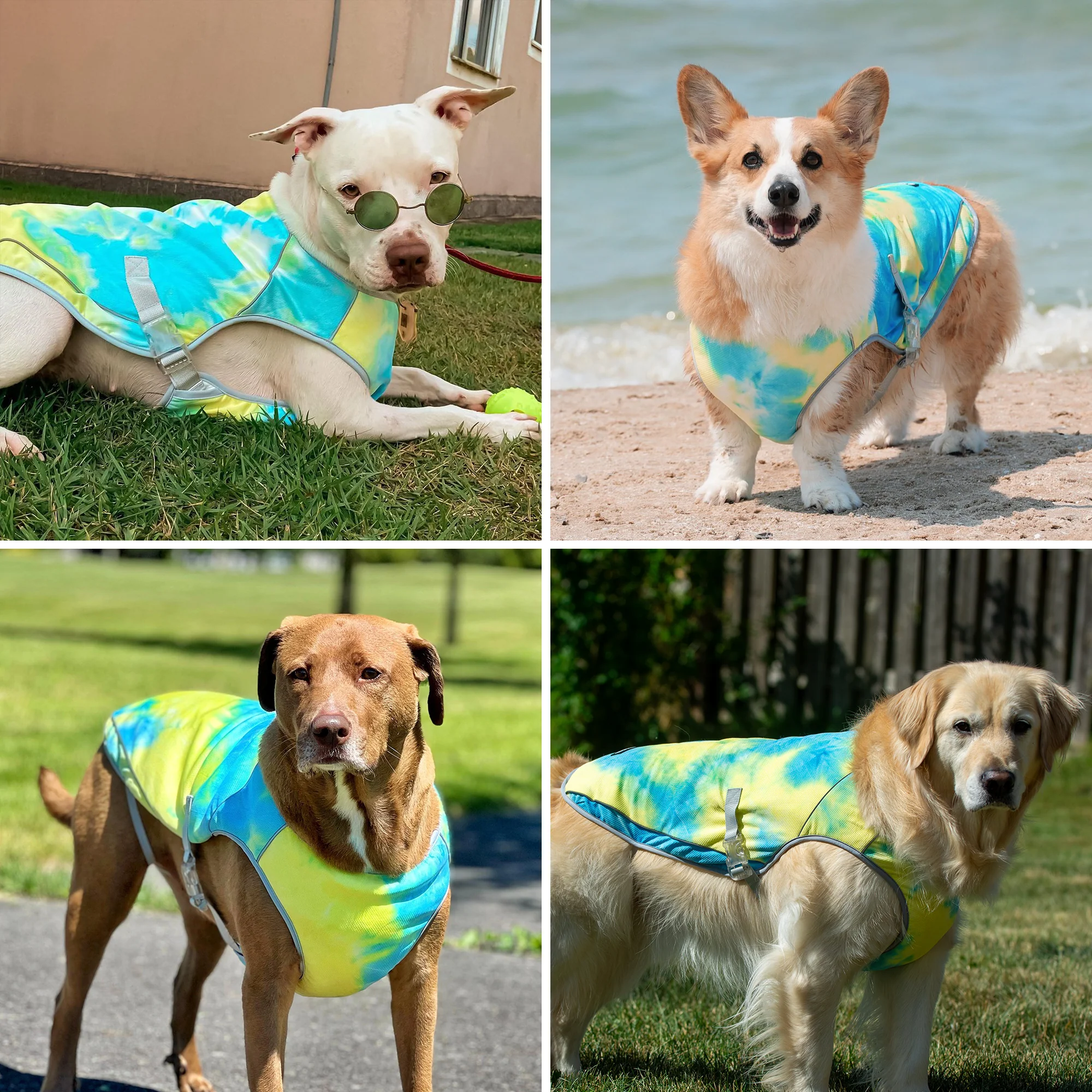 Gilet di raffreddamento per cani (multicolore) - Image 31