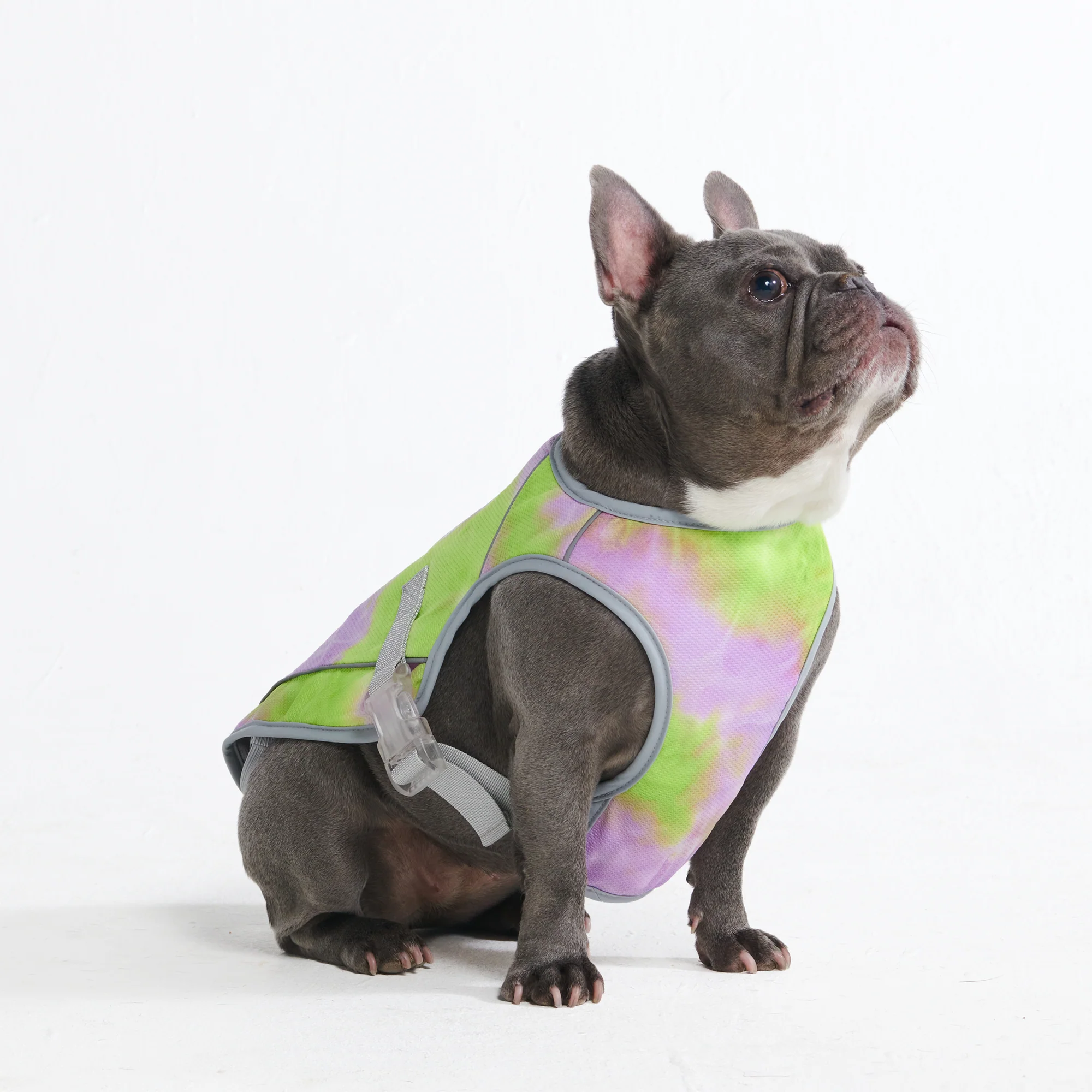 Gilet di raffreddamento per cani (multicolore) - Image 36