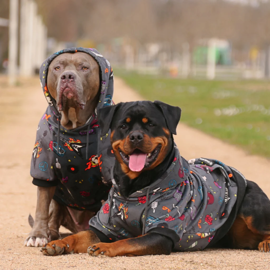 Felpa con cappuccio per cani con stampe - Image 11
