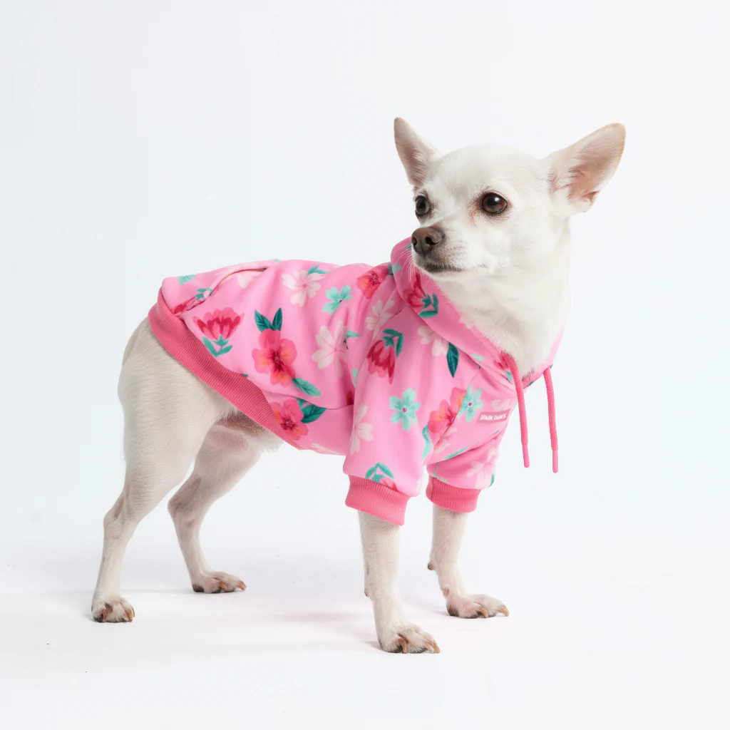 Felpa con cappuccio per cani con stampe - Image 18