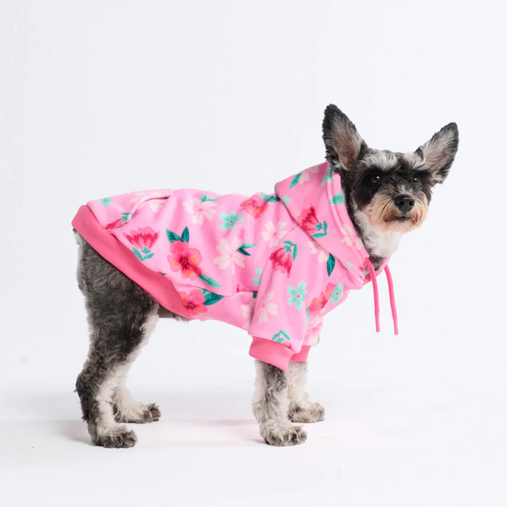 Felpa con cappuccio per cani con stampe - Image 19