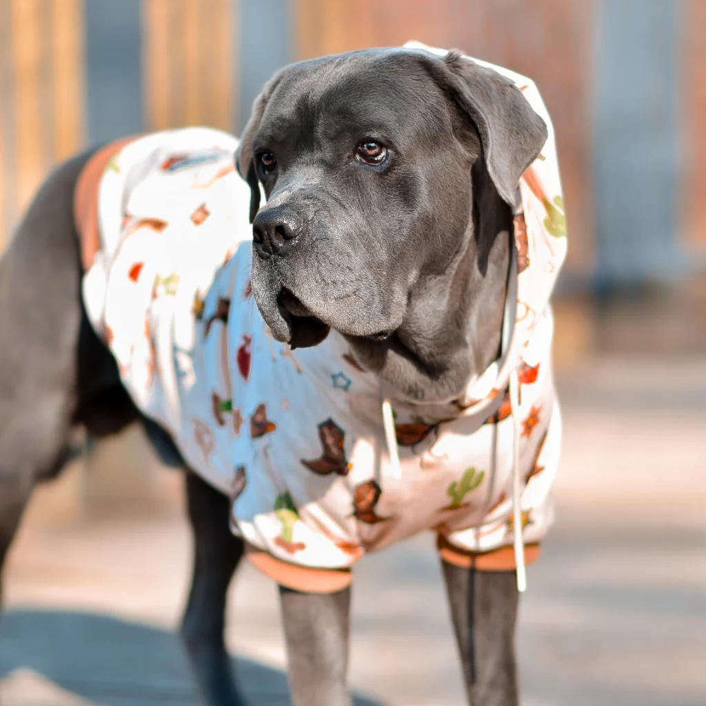 Felpa con cappuccio per cani con stampe - Image 51