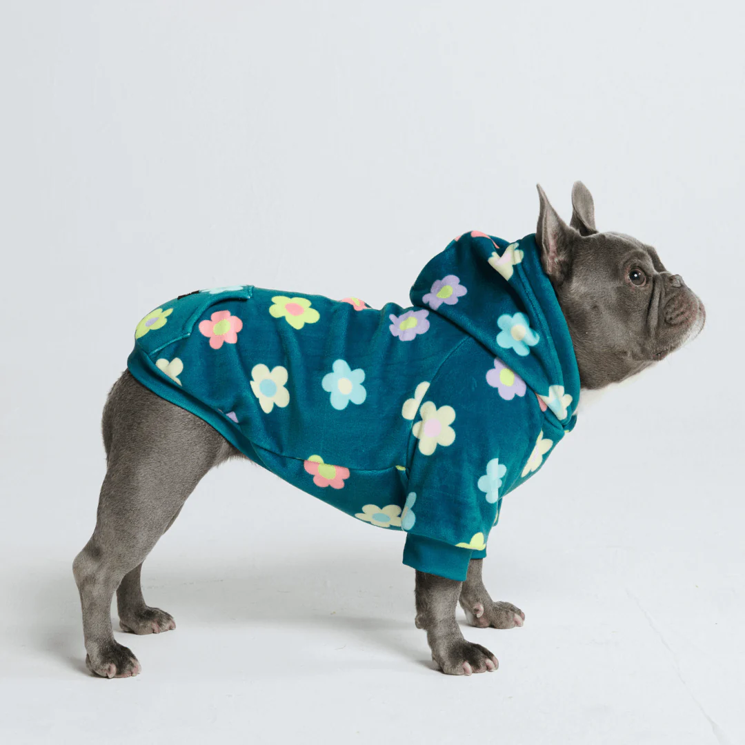 Felpa con cappuccio per cani con stampe - Image 52