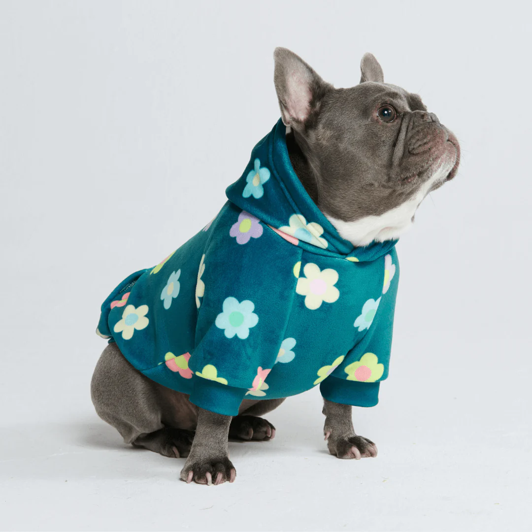 Felpa con cappuccio per cani con stampe - Image 56