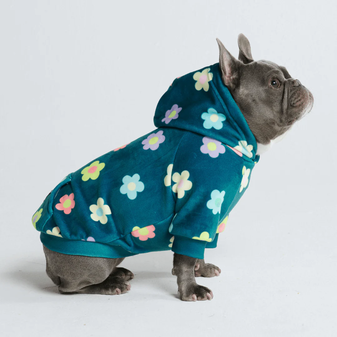 Felpa con cappuccio per cani con stampe - Image 58