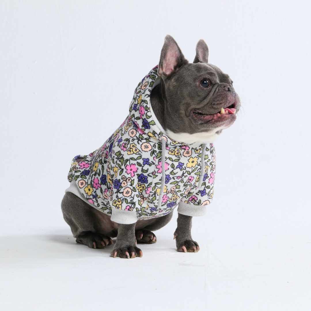Felpa con cappuccio per cani con stampe - Image 60