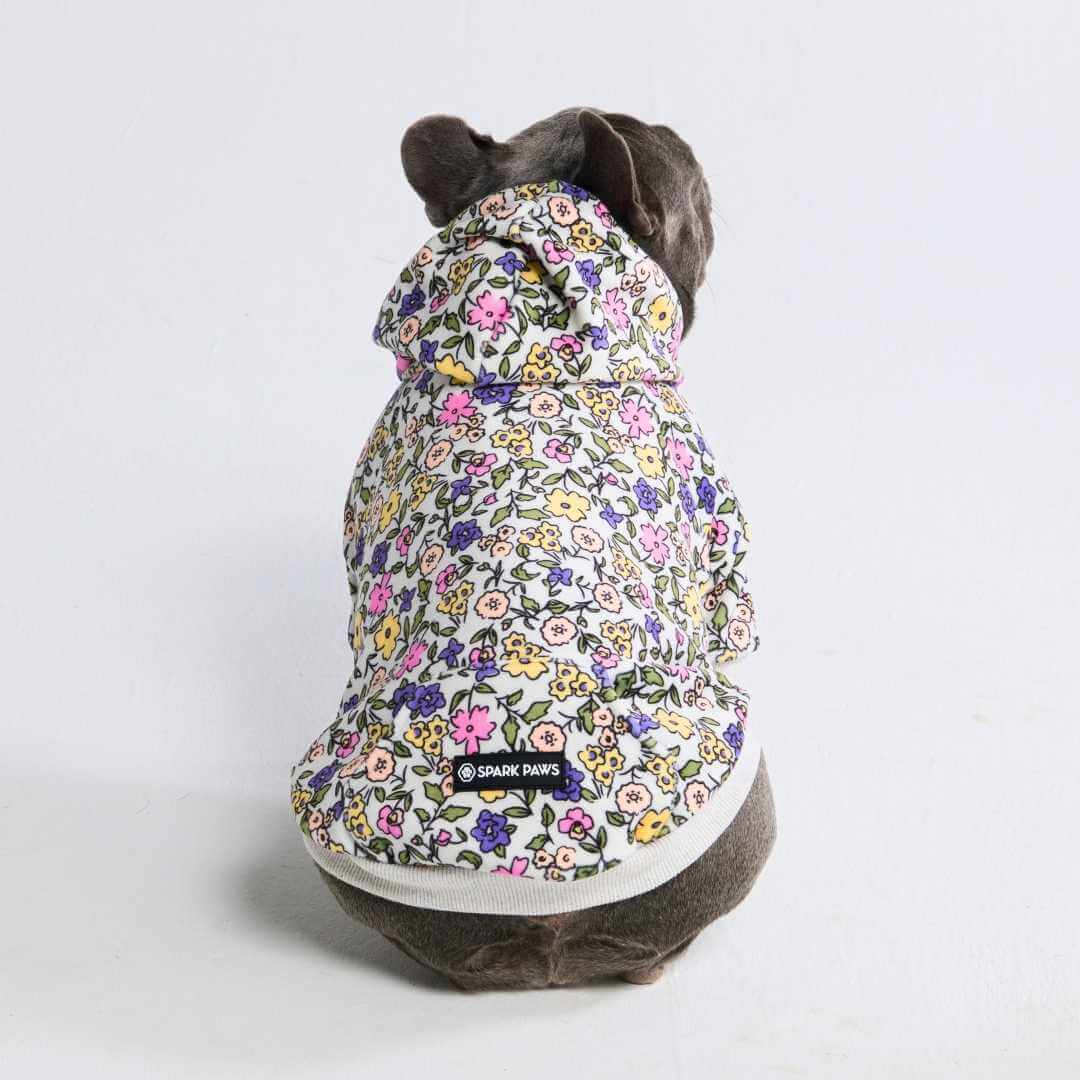 Felpa con cappuccio per cani con stampe - Image 61