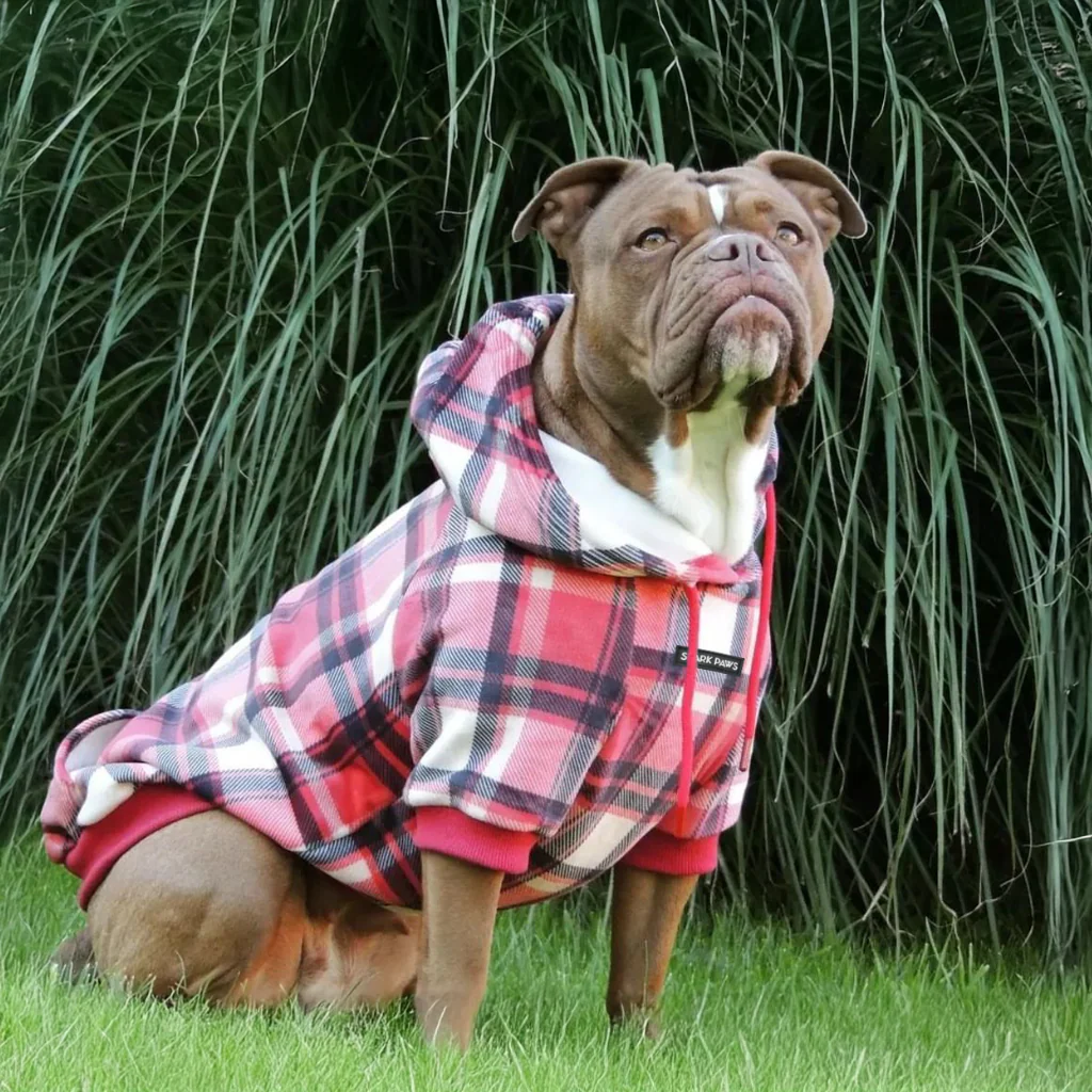 Maglione Plaid per Cani - Quadretti rossi - Image 12