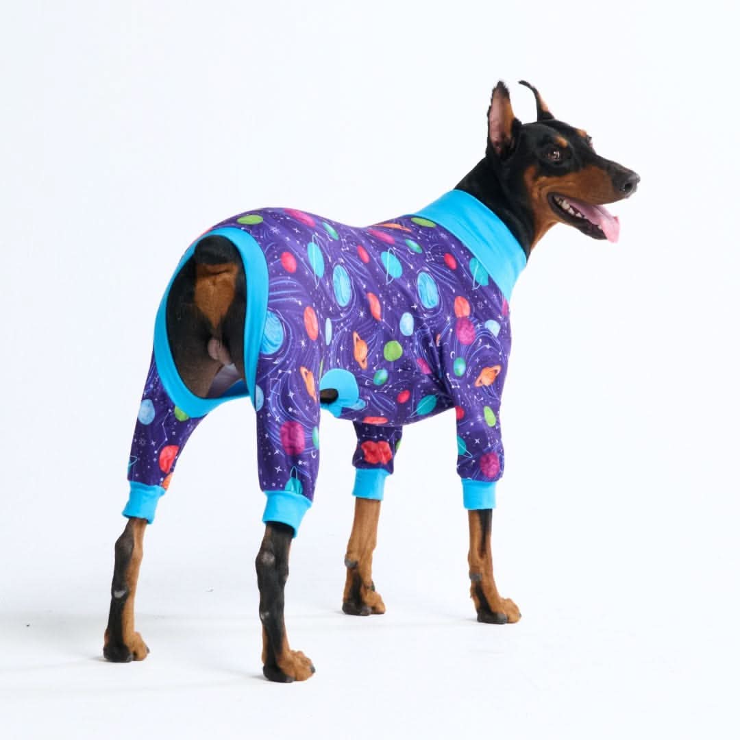 Stampe pigiama per cani - Image 14