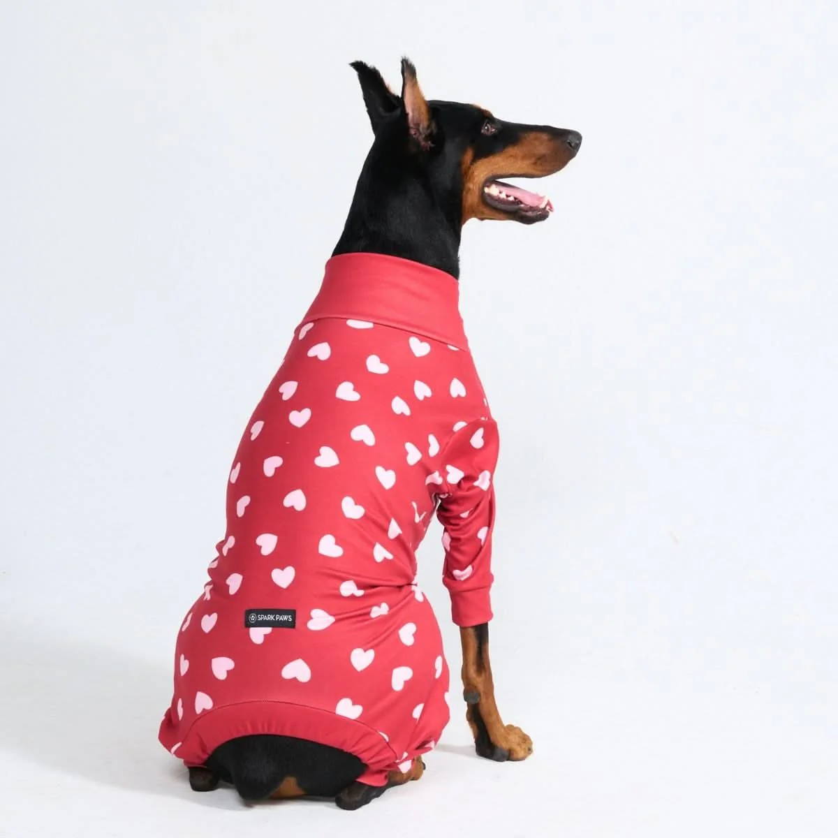 Stampe pigiama per cani - Image 21