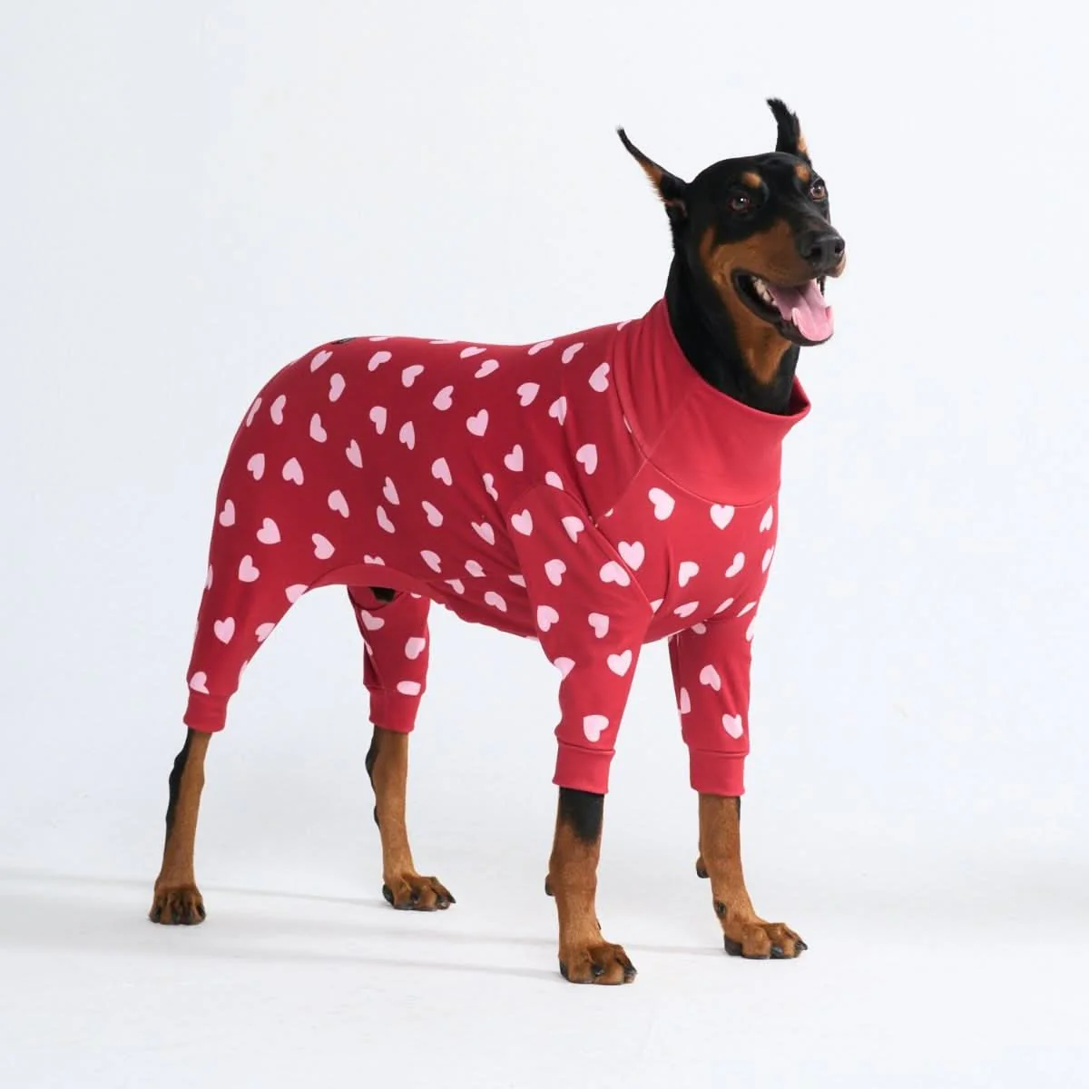Stampe pigiama per cani - Image 22