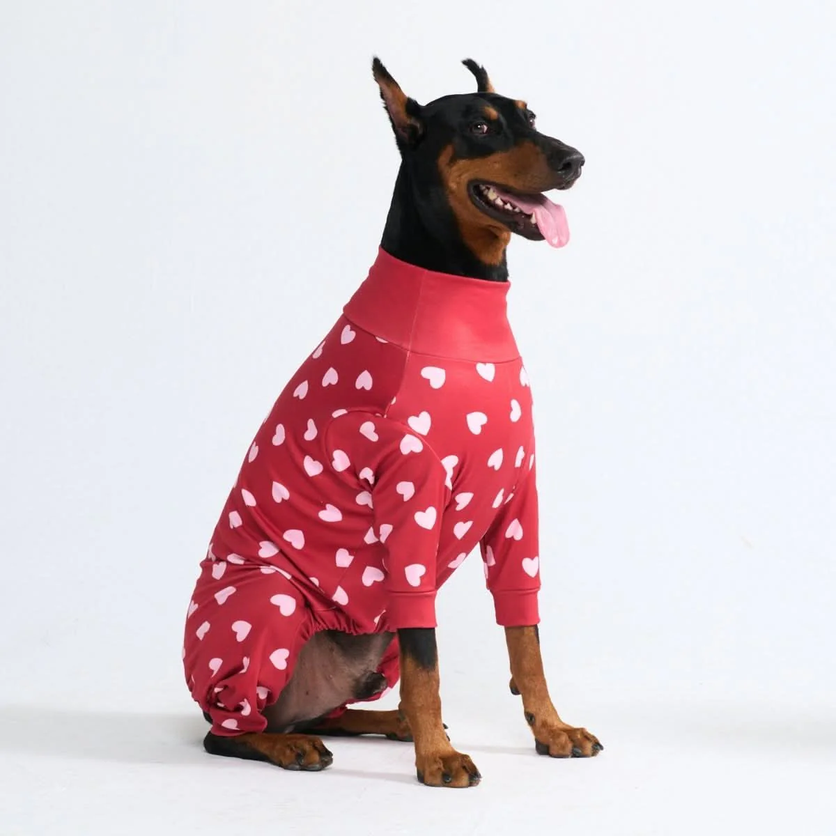 Stampe pigiama per cani - Image 25