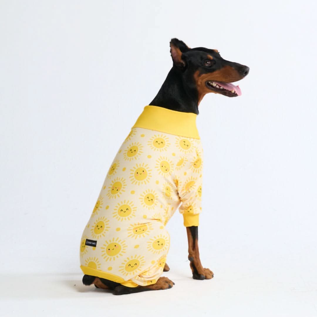 Stampe pigiama per cani - Image 31