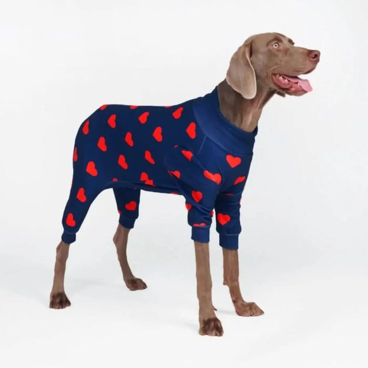 Stampe pigiama per cani - Image 34