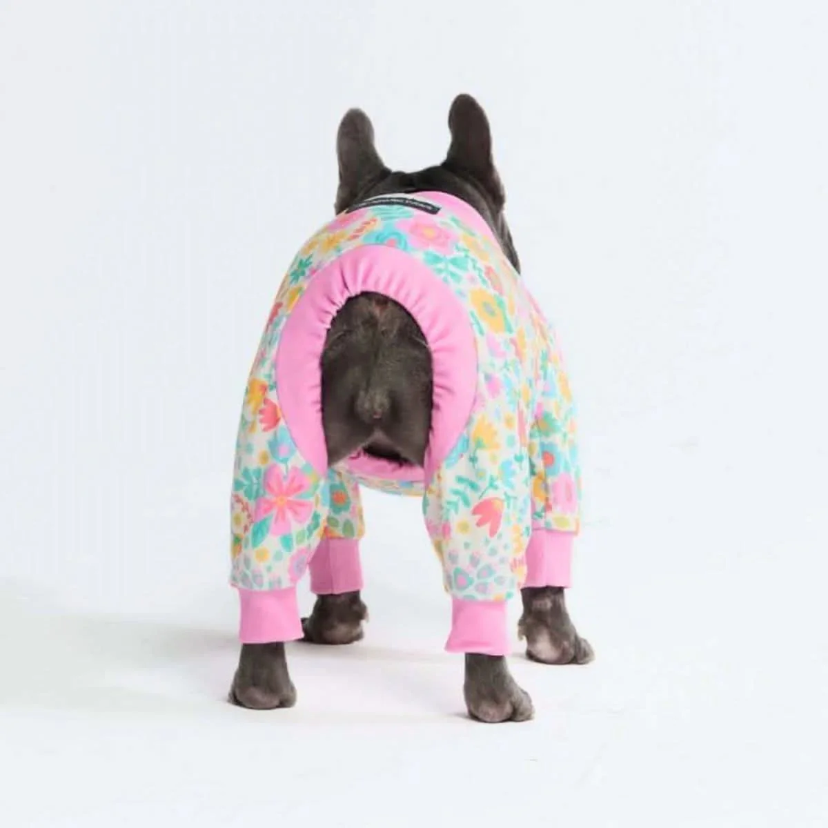 Stampe pigiama per cani - Image 49