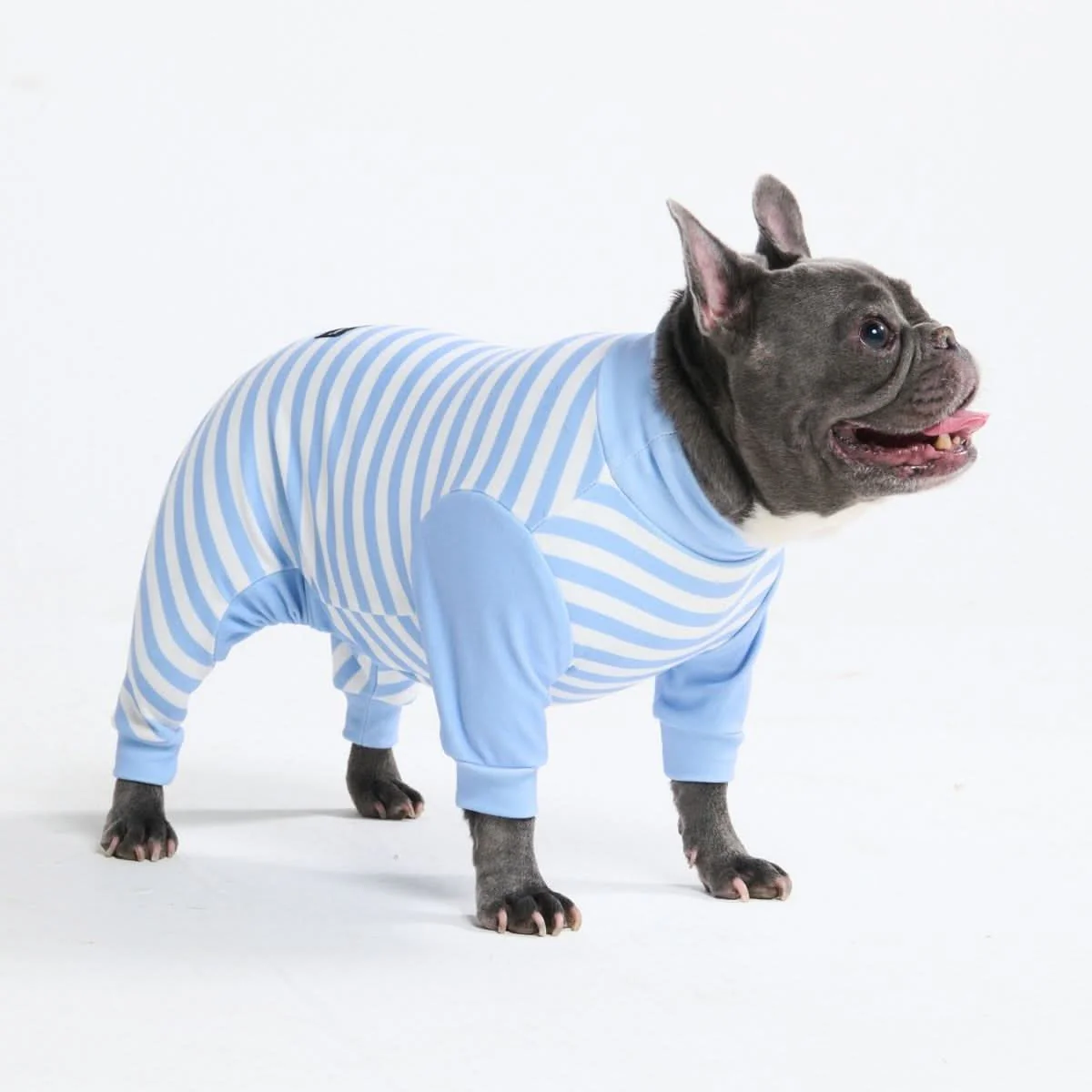 Stampe pigiama per cani - Image 62