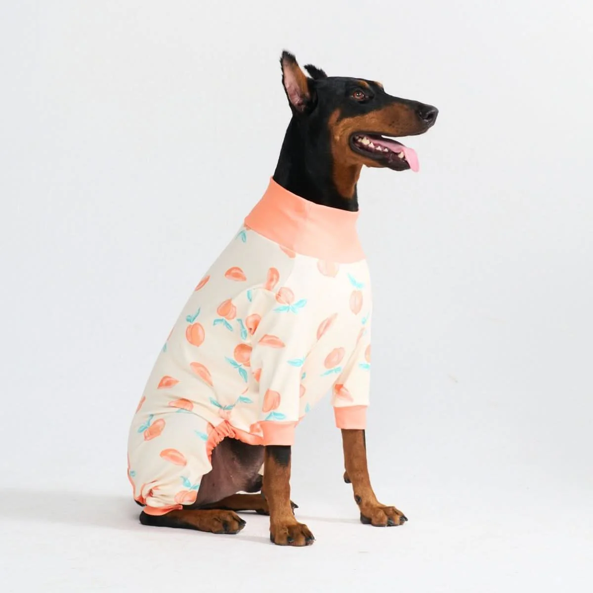 Stampe pigiama per cani - Image 63