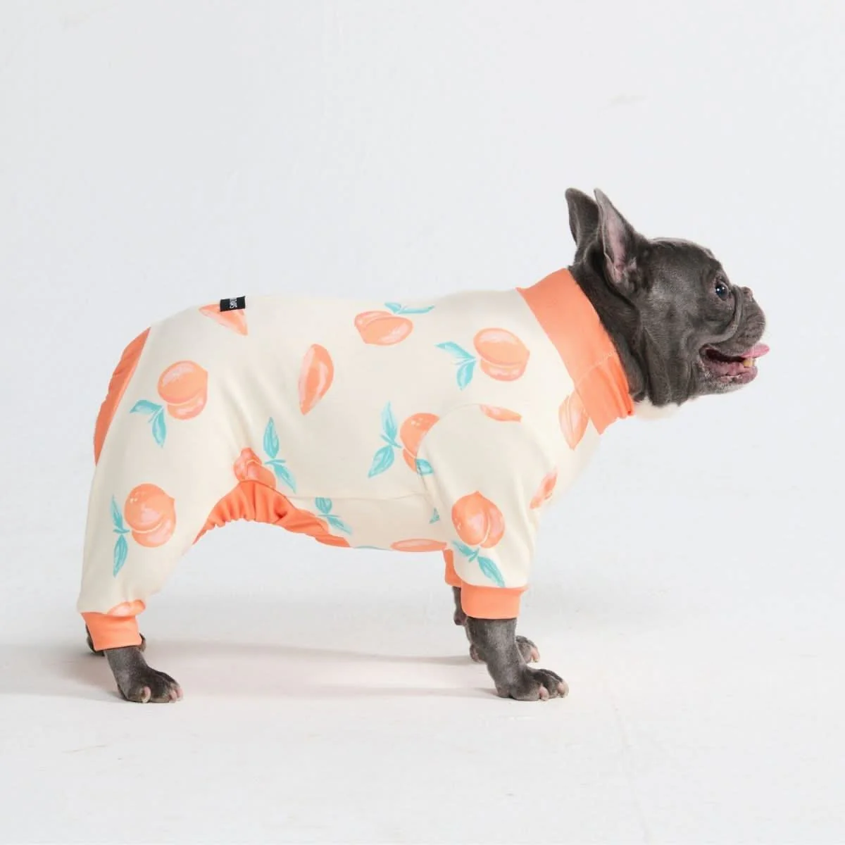 Stampe pigiama per cani - Image 64
