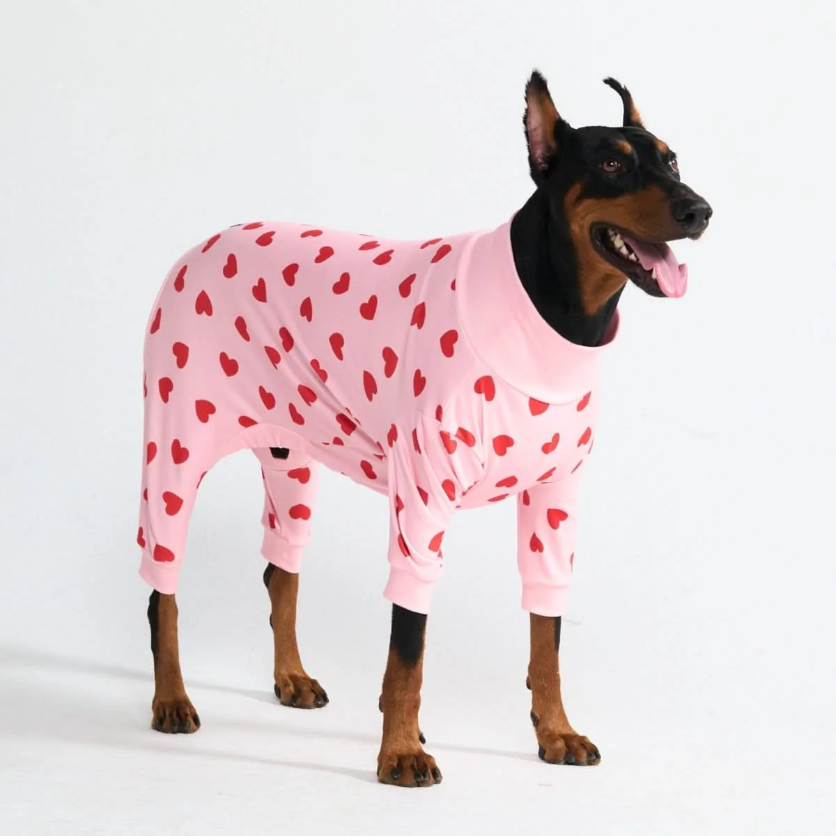 Stampe pigiama per cani - Image 69