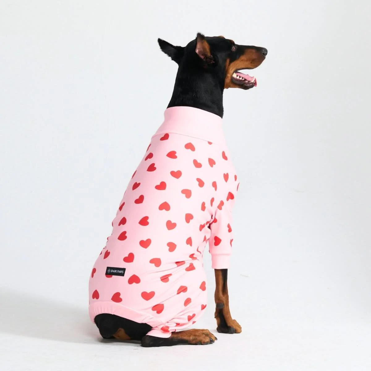 Stampe pigiama per cani - Image 70