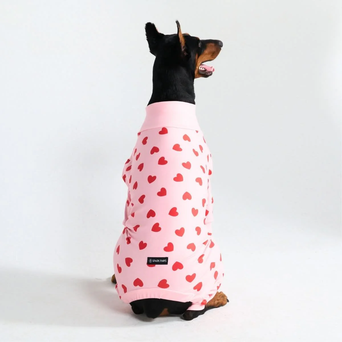 Stampe pigiama per cani - Image 71