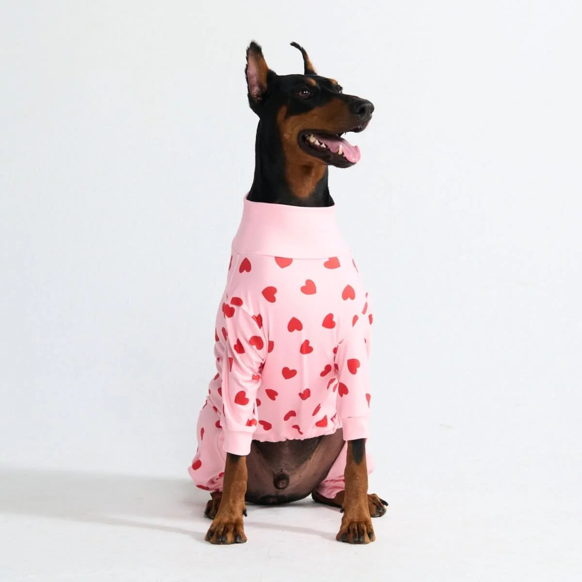 Stampe pigiama per cani - Image 73