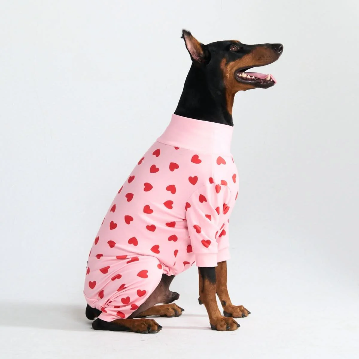 Stampe pigiama per cani - Image 74