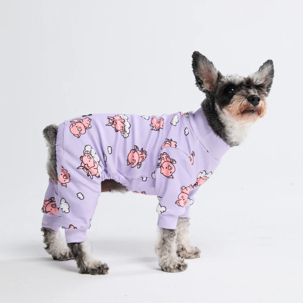 Pigiama per cani - Quando i maiali volano - Viola - Image 7