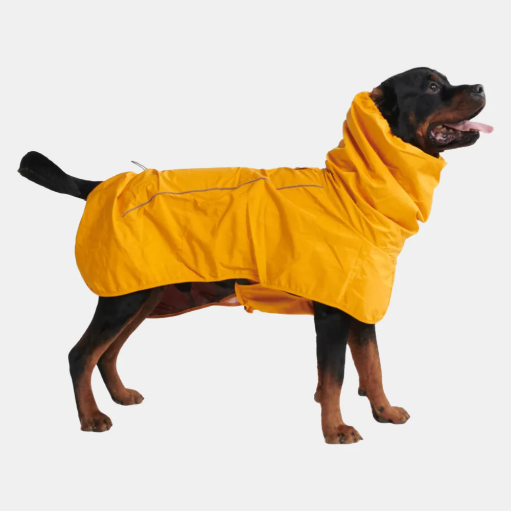 Impermeabile per cani Breatheshield™ - Giallo Senape - Image 5