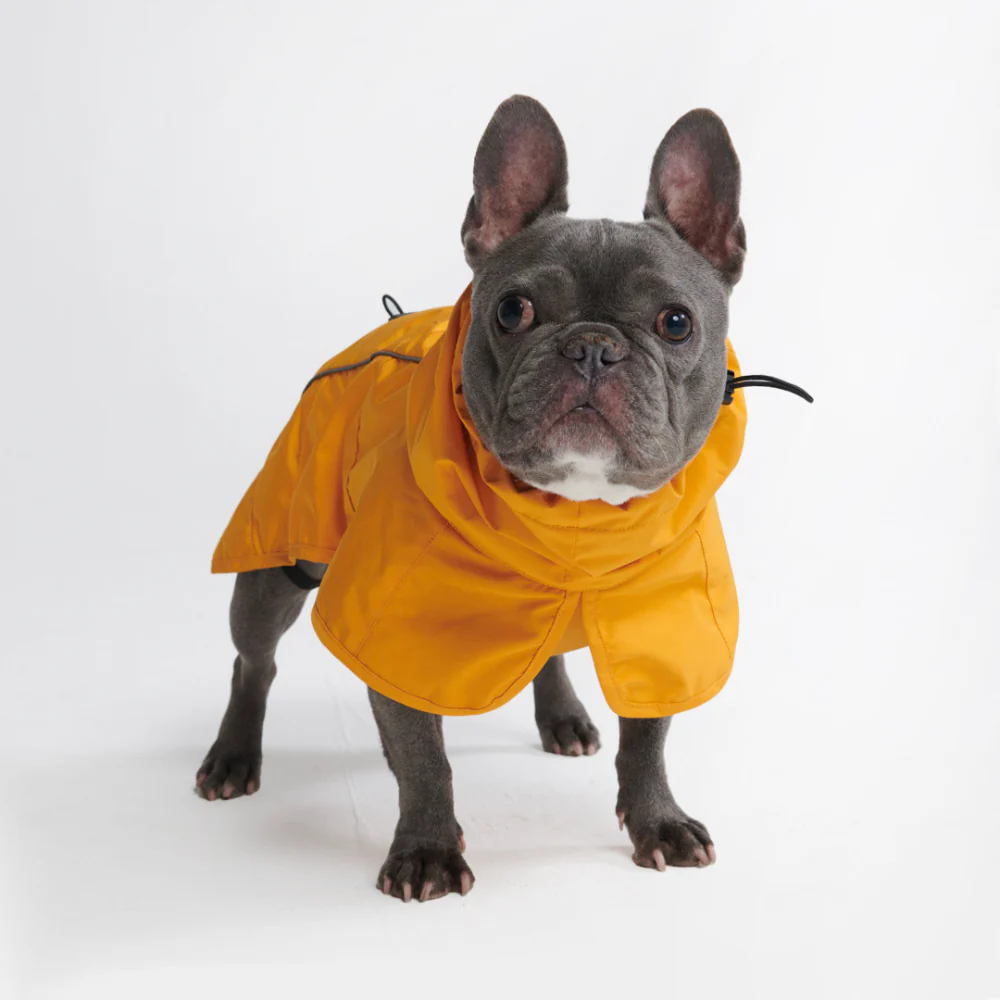 Impermeabile per cani Breatheshield™ - Giallo Senape - Image 8