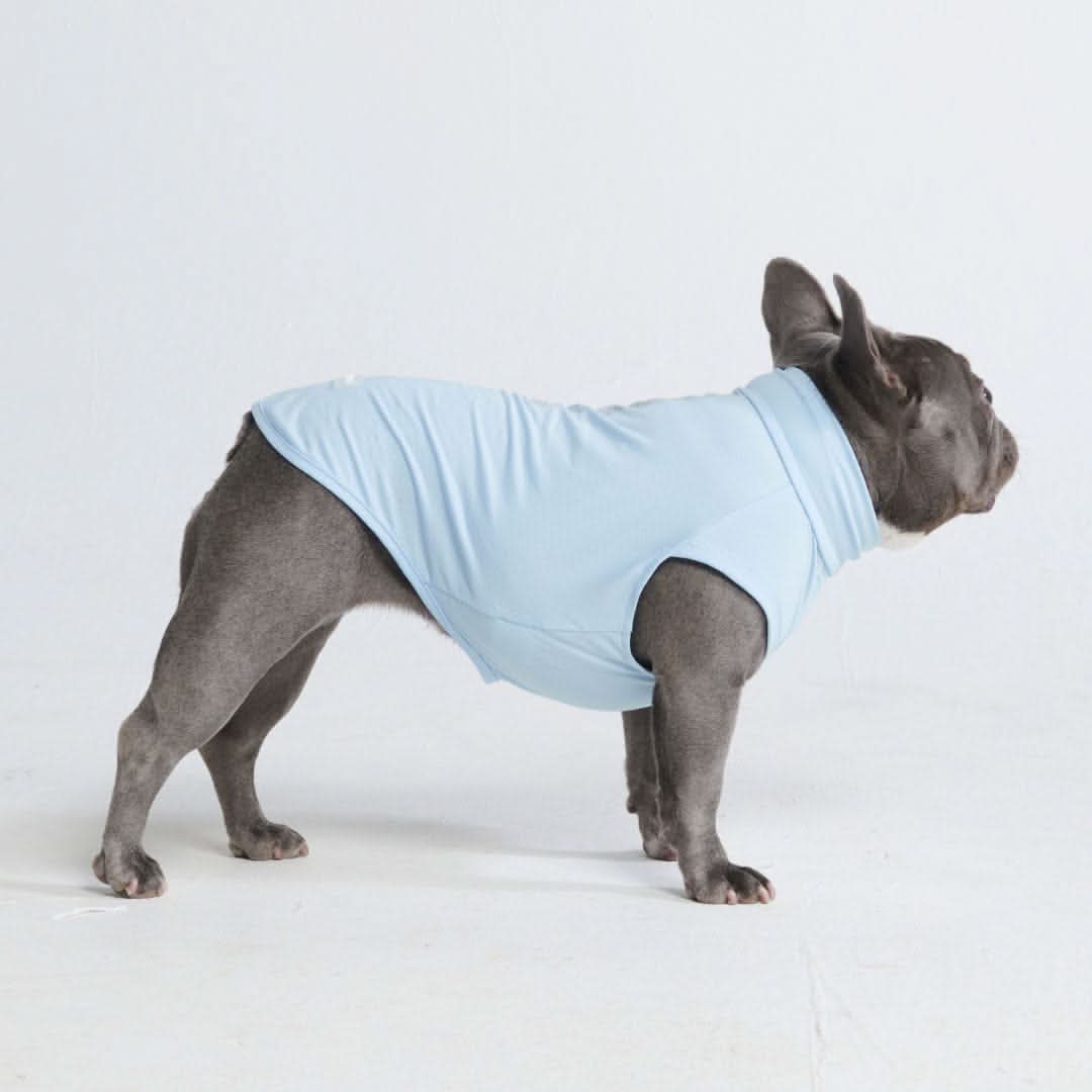 T-shirt per cani Sunblock - Blu - Image 3
