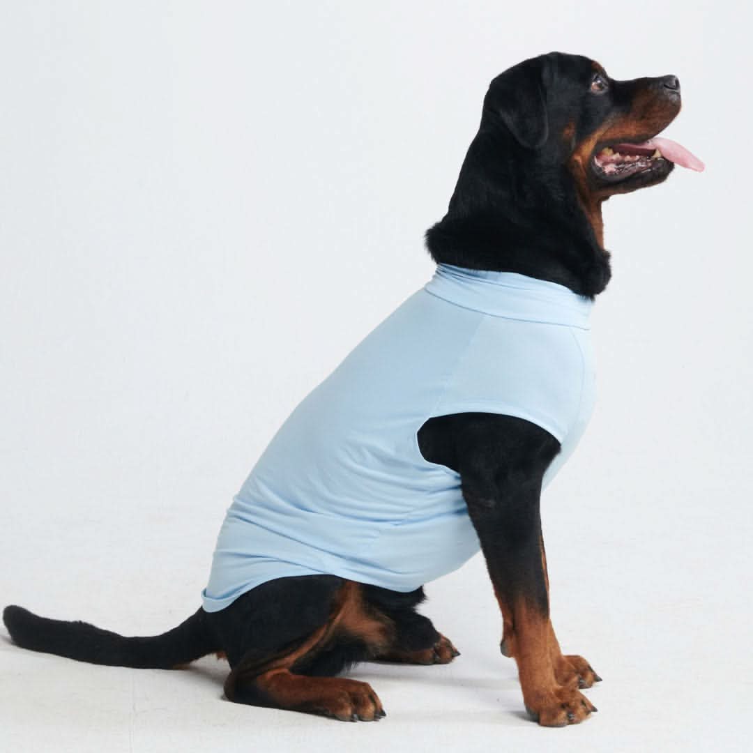 T-shirt per cani Sunblock - Blu - Image 5