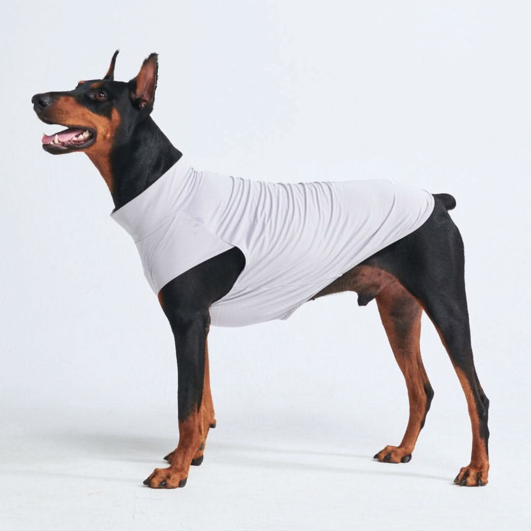 Maglietta per cani Sunblock - Grigia - Image 3