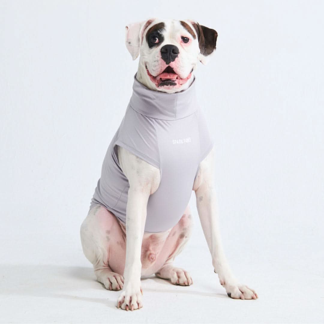 Maglietta per cani Sunblock - Grigia - Image 5