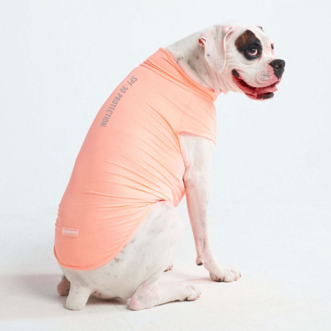 Maglietta per cani Sunblock - Pesca - Image 6