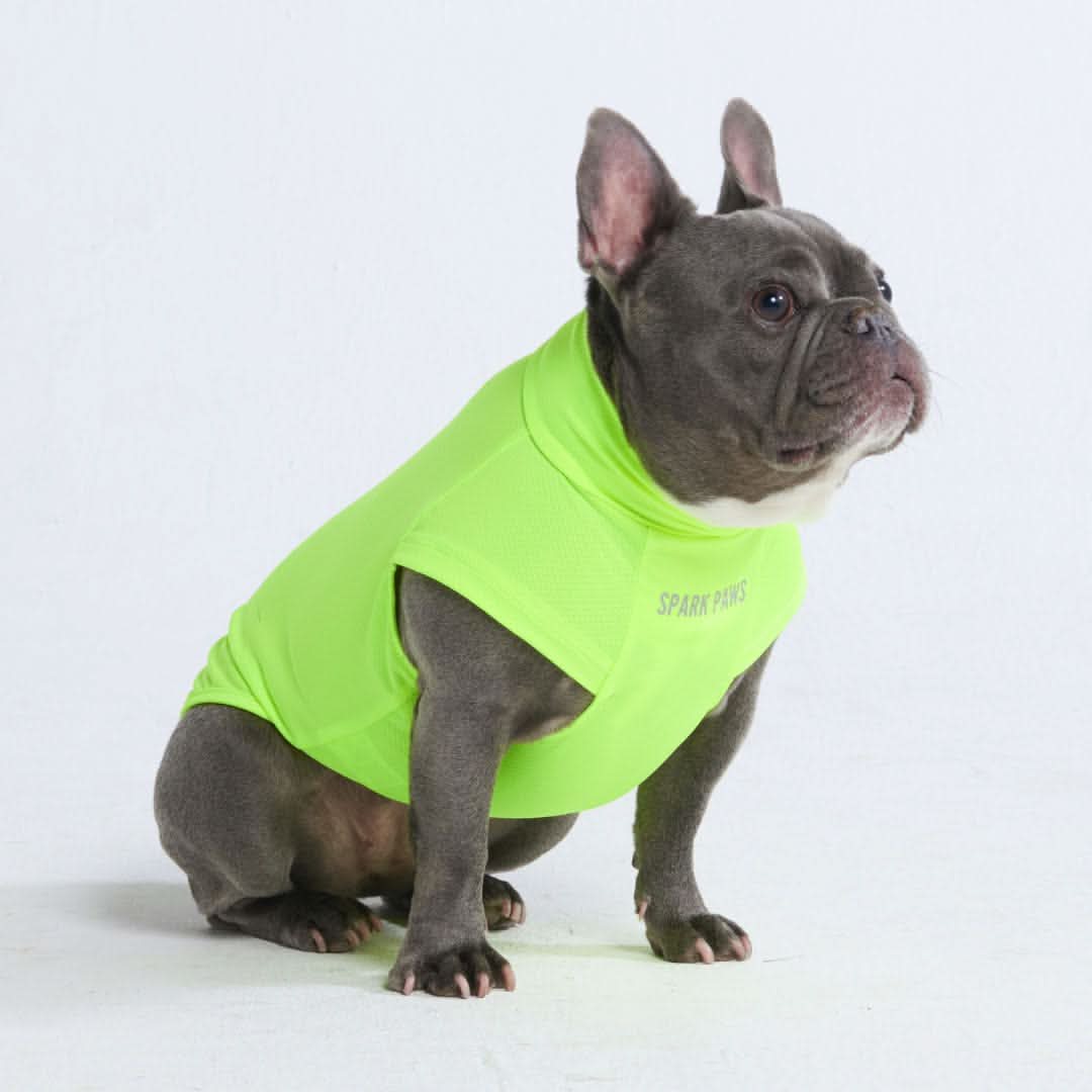 Maglietta per cani Sunblock - Neon - Image 4
