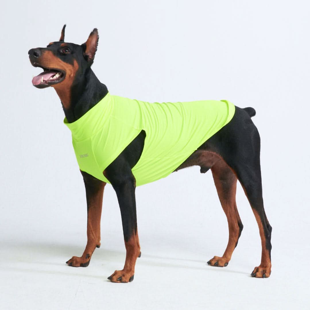 Maglietta per cani Sunblock - Neon - Image 5