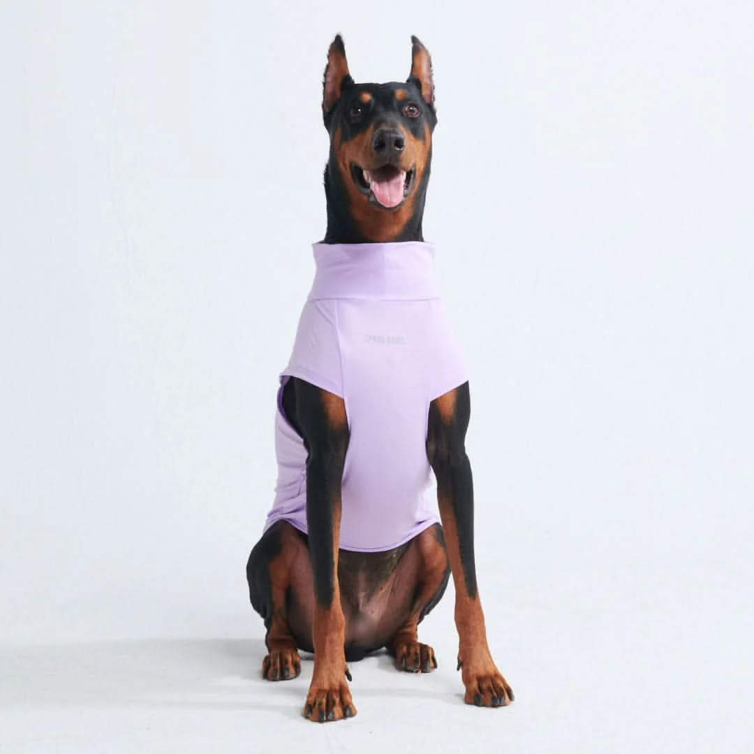 Maglietta per cani Sunblock - Viola - Image 3