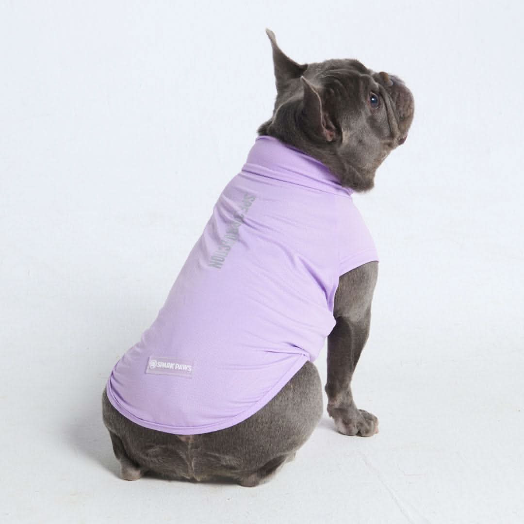 Maglietta per cani Sunblock - Viola - Image 4