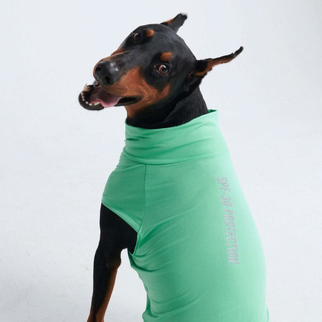 Maglietta per cani Sunblock - Menta - Image 4