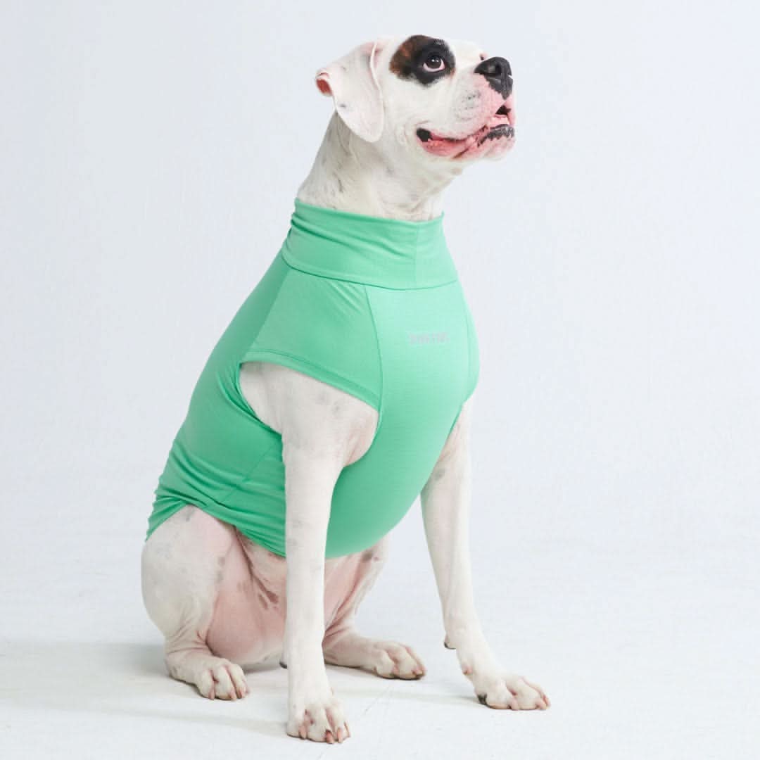 Maglietta per cani Sunblock - Menta - Image 5