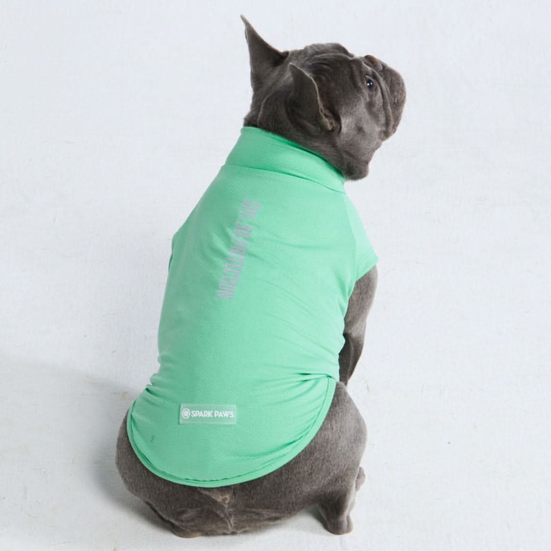 Maglietta per cani Sunblock - Menta - Image 6