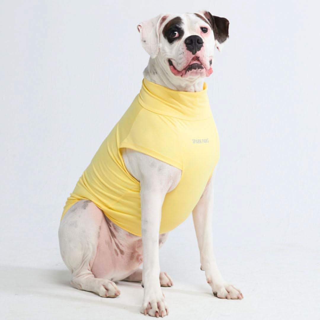 T-shirt per cani Sunblock - Gialla - Image 3