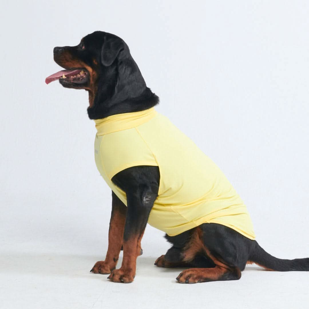 T-shirt per cani Sunblock - Gialla - Image 6