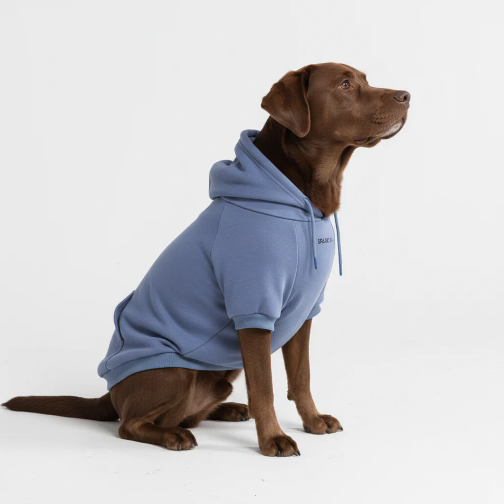 Maglione Essenziale per Cani - Blu Ardesia - Image 5