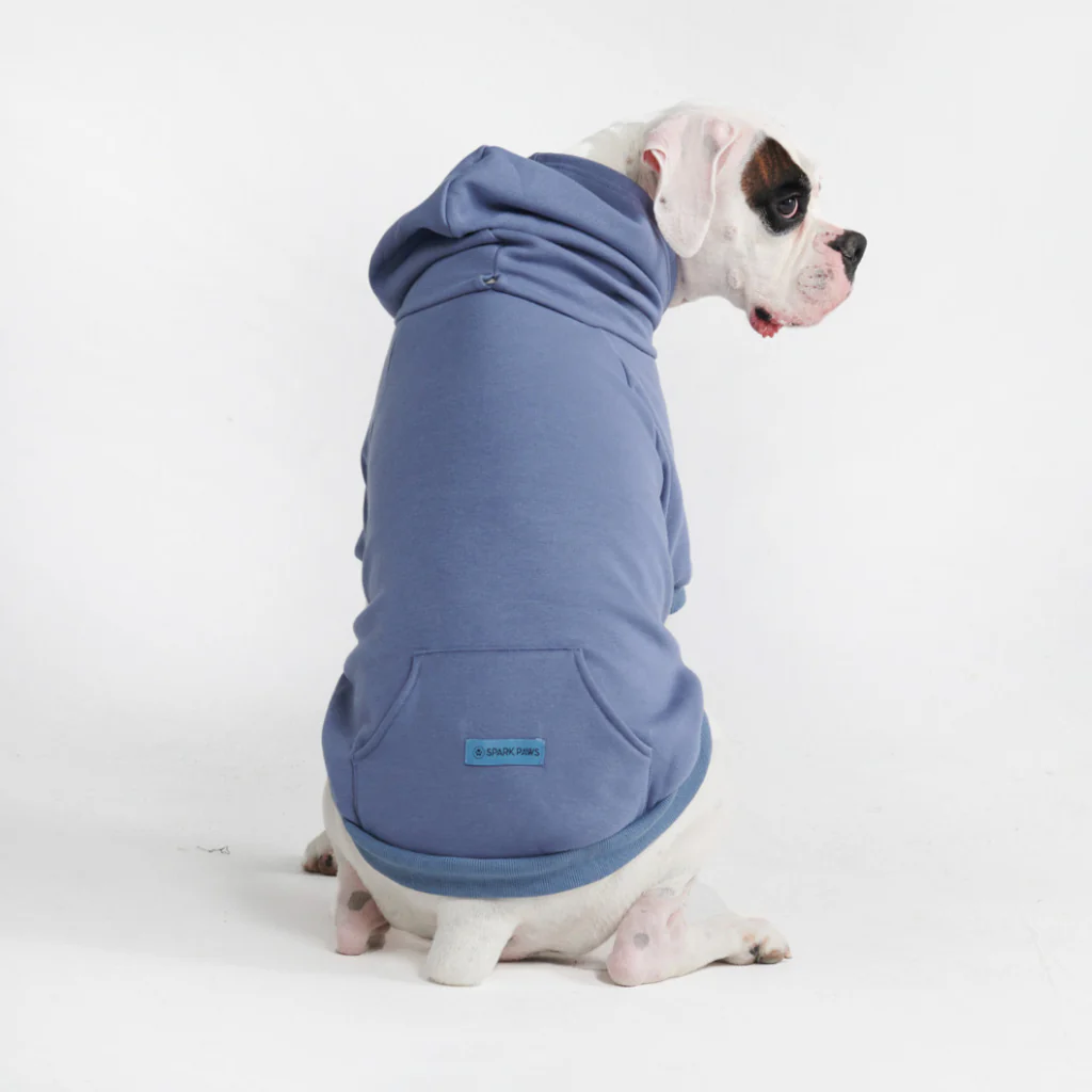Maglione Essenziale per Cani - Blu Ardesia - Image 9