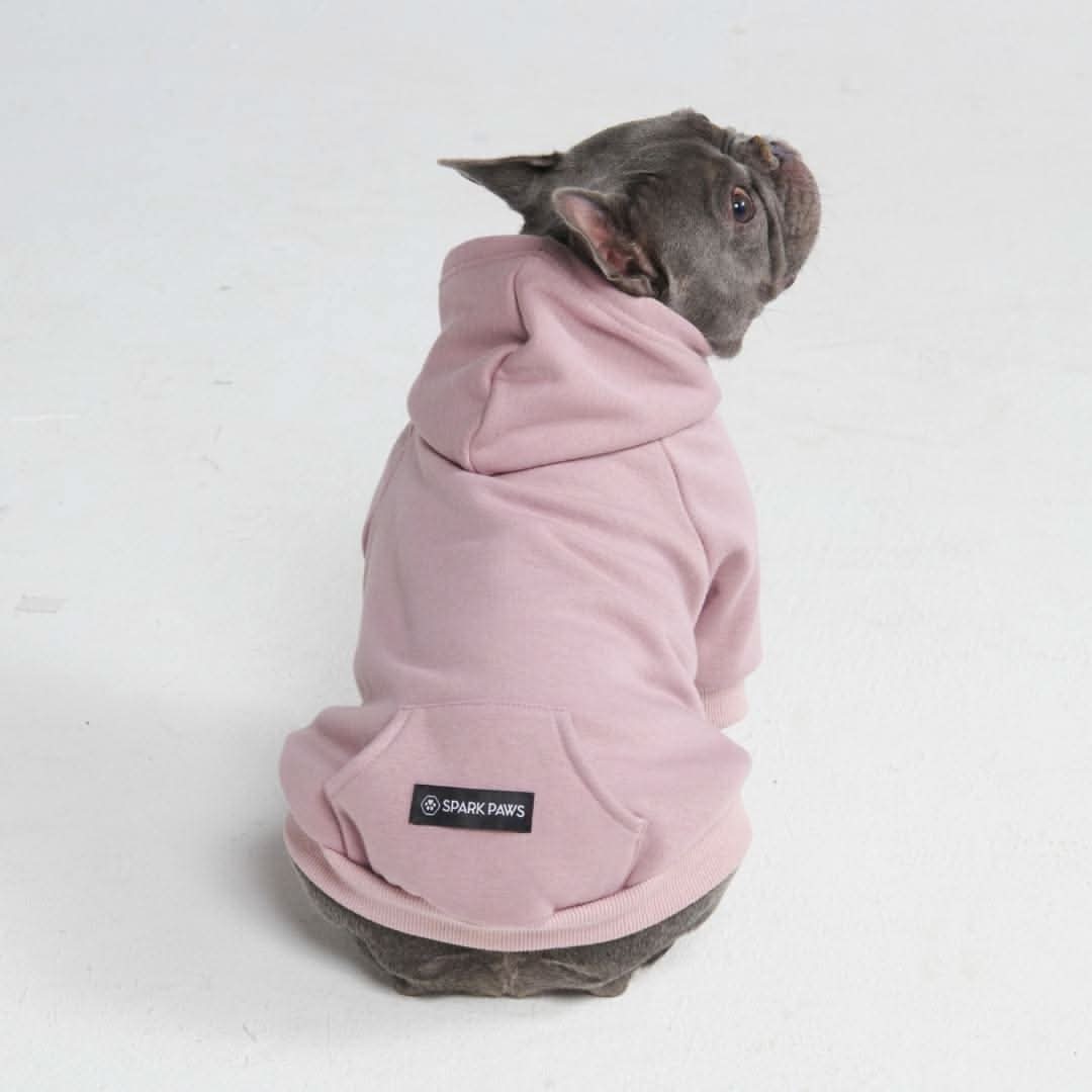 Maglione Essenziale per Cani - Lilla Talpa - Image 9